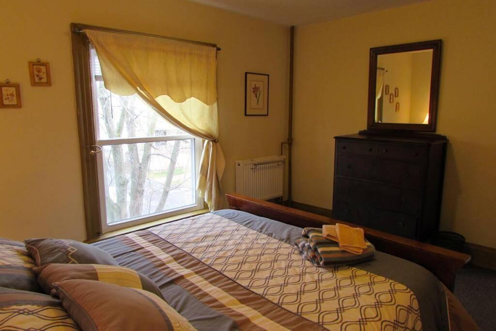 Great Gorge Guesthouse - Walk To The Falls, The Casino And All Downtown Restaurants - Across From The Aquarium Niagarawatervallen Buitenkant foto